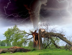 Milliardenschäden im ersten Halbjahr durch Sturm, Hagel & Co.